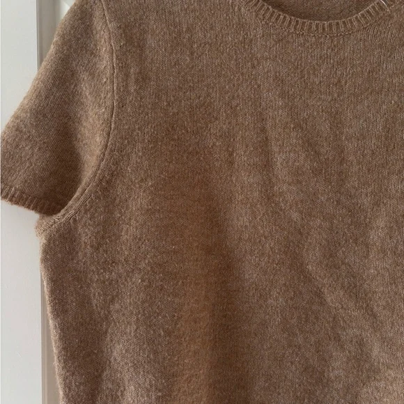 Short Sleeve Crewneck Sweater - Camel - Picture 2 of 6
